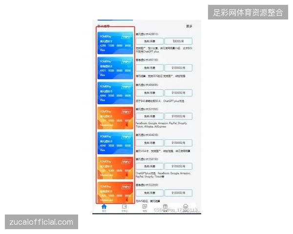 VISA支付协议如何加速世界杯场馆零售区消费结算效率